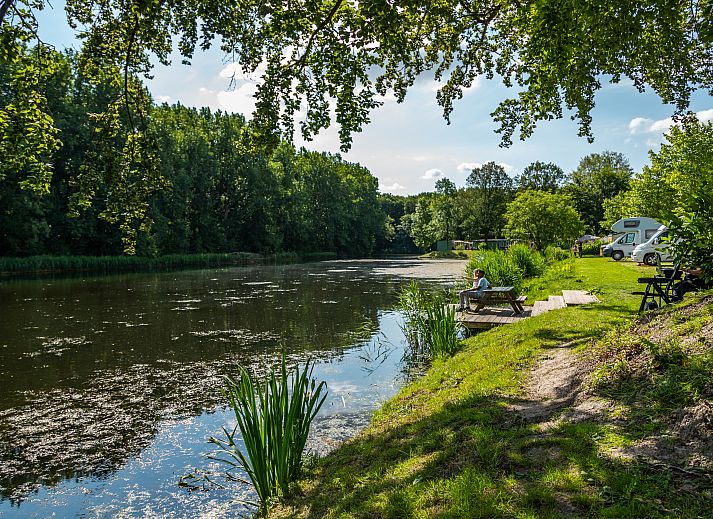 Unterkunft 512707 - Ferienhaus Amsterdam eo - EuroParcs Het Amsterdamse Bos