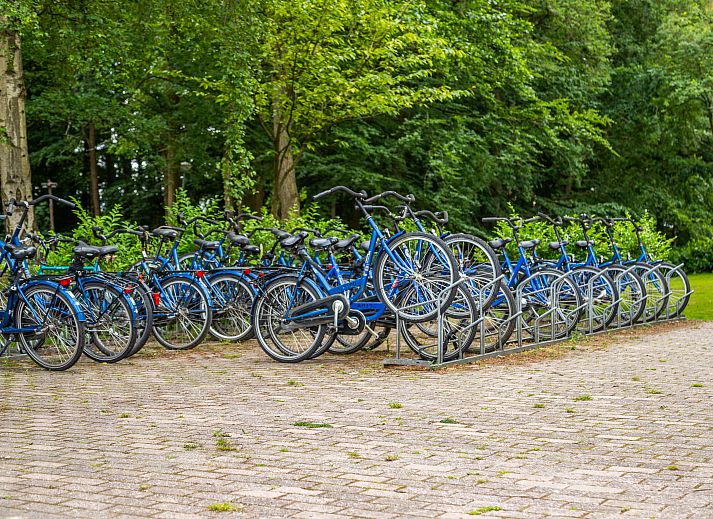 Unterkunft 512707 - Ferienhaus Amsterdam eo - EuroParcs Het Amsterdamse Bos