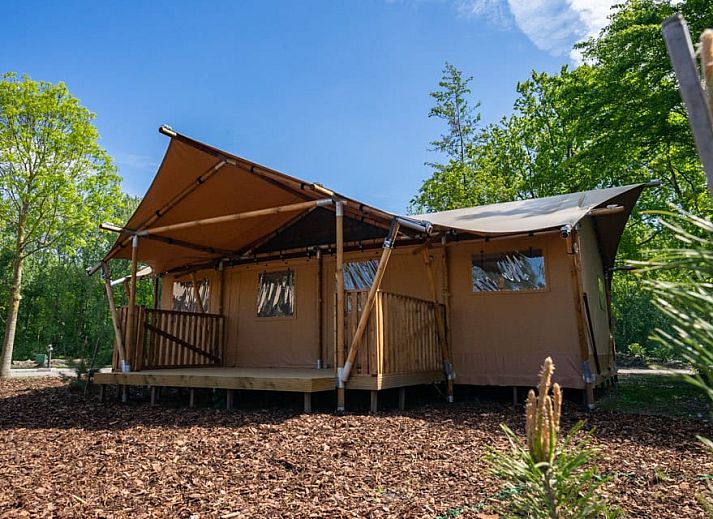 Guest house 512717 • Holiday property Amsterdam eo • Glampingtent 6 