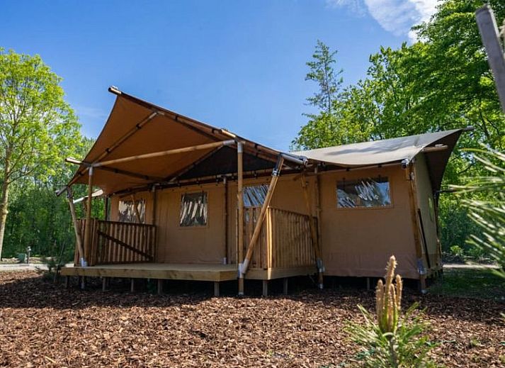 Guest house 512735 • Holiday property Amsterdam eo • Vakantiehuis Glampingtent 6 