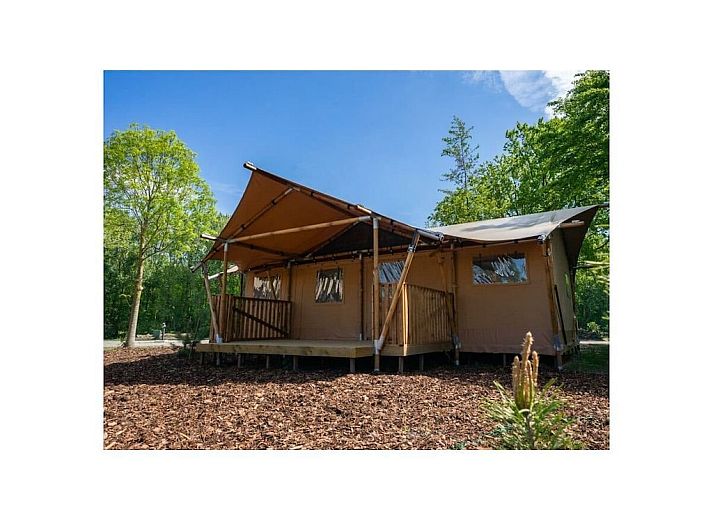 Verblijf 512740 - Vakantiewoning Amsterdam eo - 781850