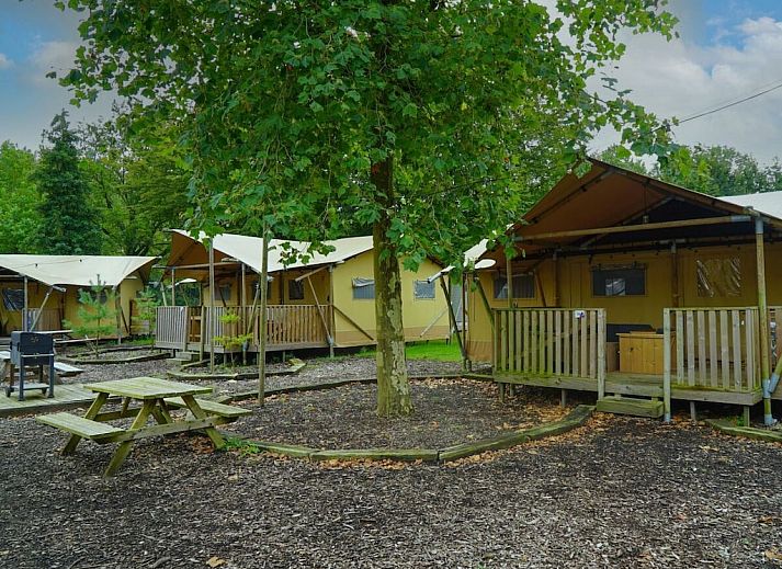Verblijf 512740 - Vakantiewoning Amsterdam eo - 781850