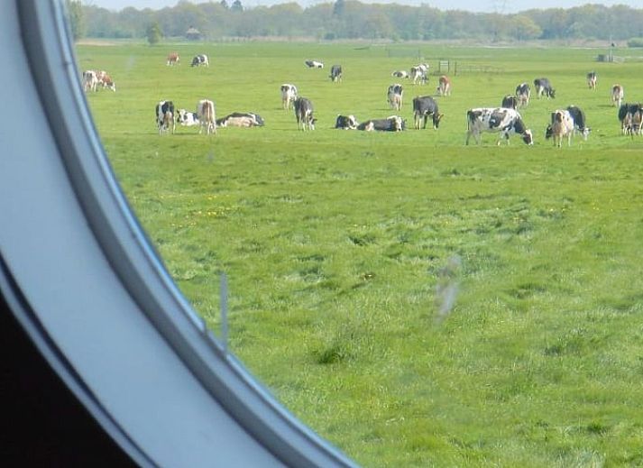 Cozy living room of Holiday home in Weesp, Amsterdam e.o., North Holland with cozy fireplace and comfortable sofa.