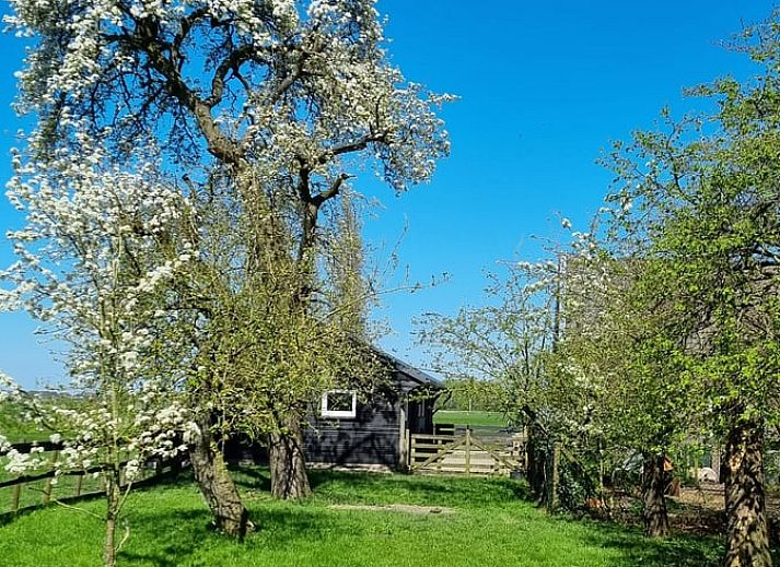 Verblijf 513312 - Vakantiewoning Amsterdam eo - Huisje in Weesp