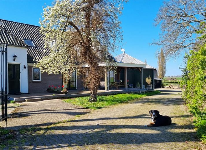 Verblijf 513312 - Vakantiewoning Amsterdam eo - Huisje in Weesp
