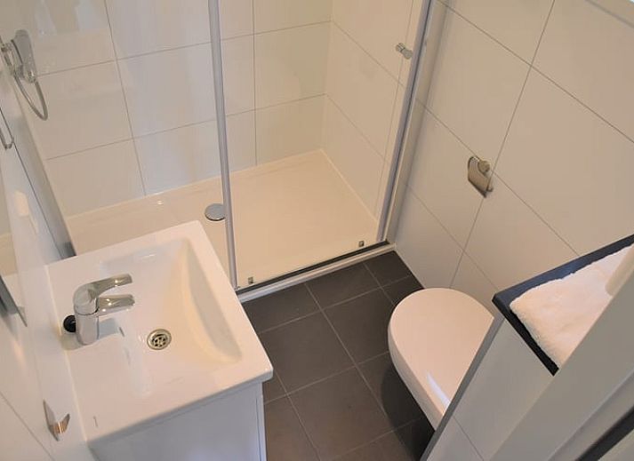 Uitzicht op weilanden en koeien vanuit Vakantiehuisje in Weesp, Amsterdam eo, Noord-Holland.