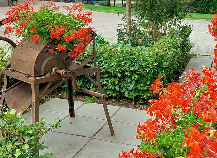 Uitzicht op weilanden en koeien vanuit Vakantiehuisje in Weesp, Amsterdam eo, Noord-Holland.