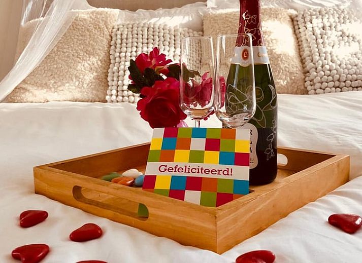 Gemuetlicher Garten im Huisje in Oude Meer, Ferienunterkunft in Amsterdam eo, Nordholland.