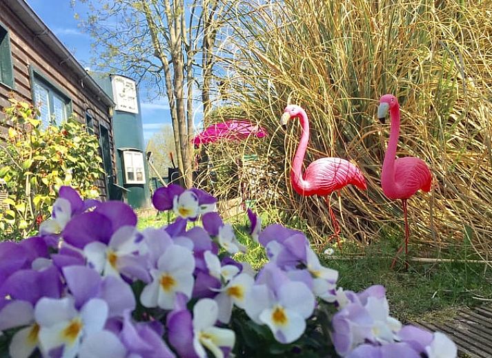 Stilvolle Einrichtung des Huisje in Oude Meer, Ferienhaus in Amsterdam eo, Nordholland.
