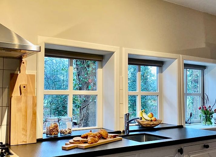 Luftaufnahme von Huisje in Mander, Ferienhaus umgeben von gruenen Baeumen in Mander, Twente, Overijssel.