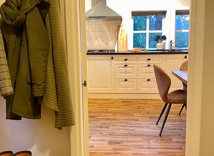 Luftaufnahme von Huisje in Mander, Ferienhaus umgeben von gruenen Baeumen in Mander, Twente, Overijssel.