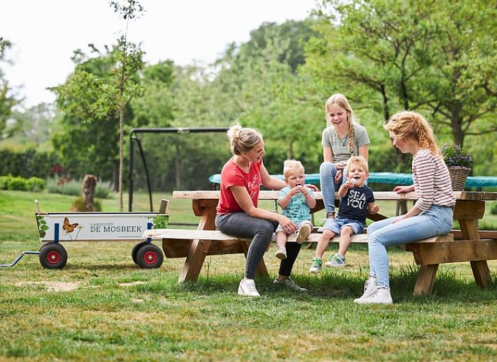 Gemuetliche Kueche in Cottage in Mander, Ferienhaus in Mander, Twente, mit Blick auf die Natur.