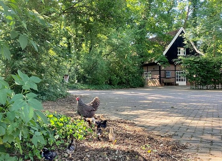 Gemuetliches Wohnzimmer in Cottage in Mander, Ferienhaus in Mander, Twente, mit grossen Fenstern und natuerlichem Licht.
