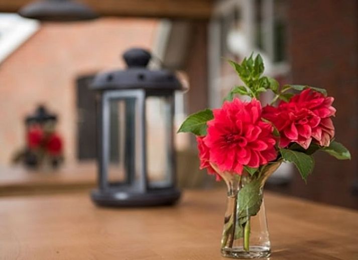 Comfortabele slaapkamer met twee bedden in vakantiehuisje in Mander, Twente, Overijssel.