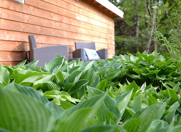 Zonnige woonkamer van Hosta vakantiehuis in Ootmarsum, Twente met comfortabele fauteuils.