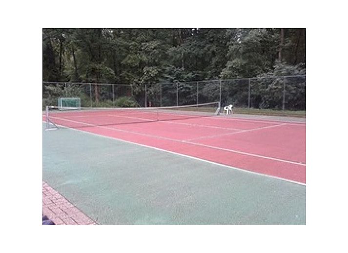Zonnige woonkamer van Hosta vakantiehuis in Ootmarsum, Twente met comfortabele fauteuils.