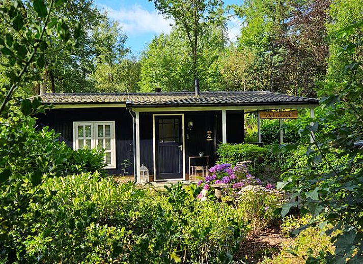 Uitzicht op weelderige bossen rondom Vakantiehuisje in Nutter, gelegen in Twente, Overijssel.