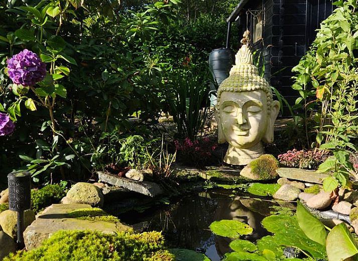 Uitzicht op weelderige bossen rondom Vakantiehuisje in Nutter, gelegen in Twente, Overijssel.