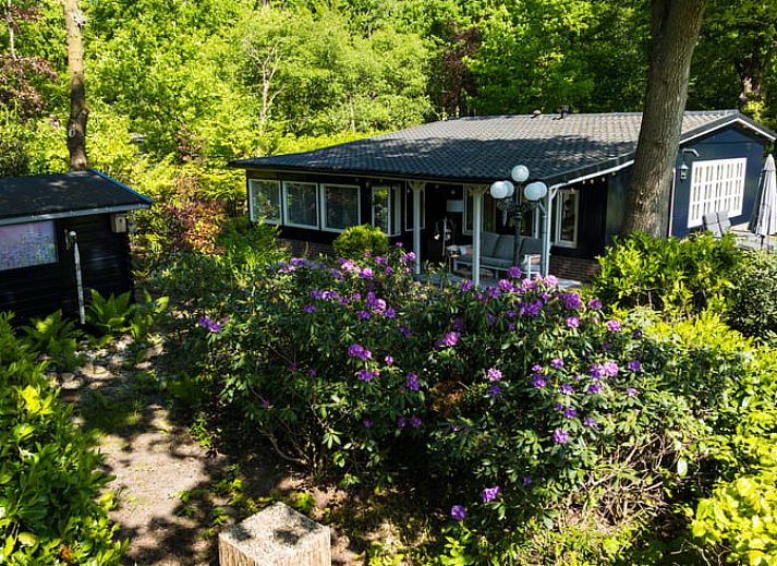 Sfeervolle woonkamer van Vakantiehuisje in Nutter, comfortabel verblijf in Twente, Overijssel.