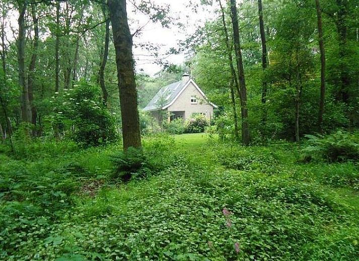 Unterkunft 520210 • Ferienhaus Twente • Vakantiehuis in Ootmarsum