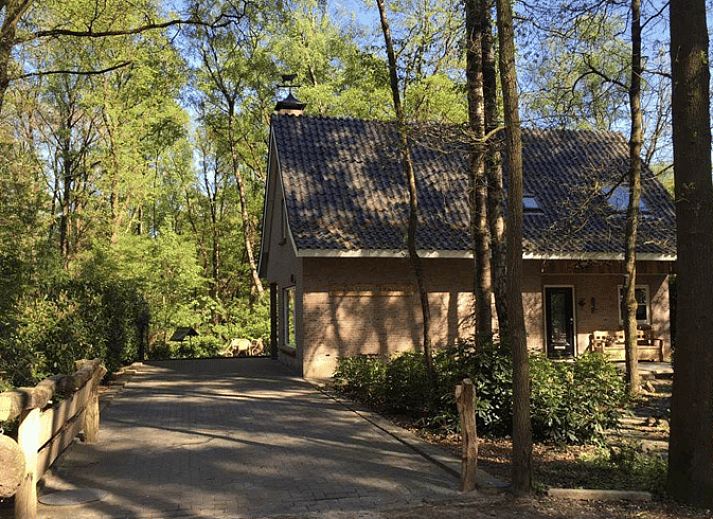 Vakantiehuis in Ootmarsum genesteld in de groene bossen van Nutter, Twente, Overijssel.