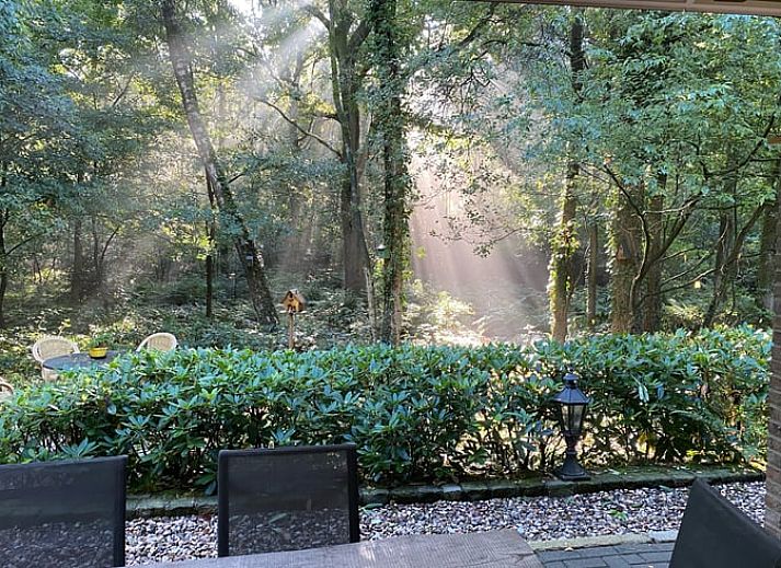 Toegangspad naar Vakantiehuis in Ootmarsum, omgeven door natuur in Nutter, Twente, Overijssel.