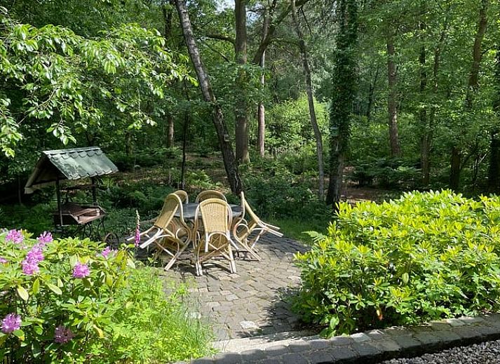 Toegangspad naar Vakantiehuis in Ootmarsum, omgeven door natuur in Nutter, Twente, Overijssel.