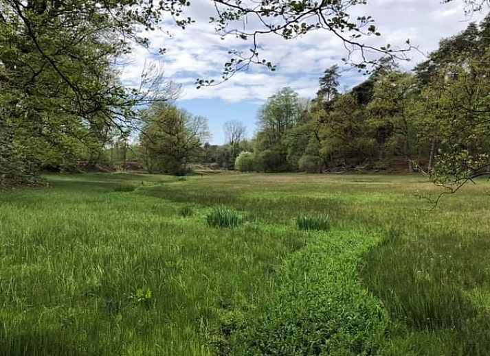 Eetkamer en lounge in Vakantiehuis in Ootmarsum, Nutter, Twente, Overijssel met uitzicht op de tuin.
