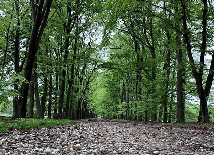 Eetkamer en lounge in Vakantiehuis in Ootmarsum, Nutter, Twente, Overijssel met uitzicht op de tuin.