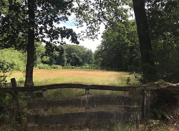 Eetkamer en lounge in Vakantiehuis in Ootmarsum, Nutter, Twente, Overijssel met uitzicht op de tuin.