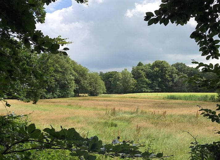 Overdekt terras van Vakantiehuis in Ootmarsum, Nutter, Twente, Overijssel met grote eettafel.