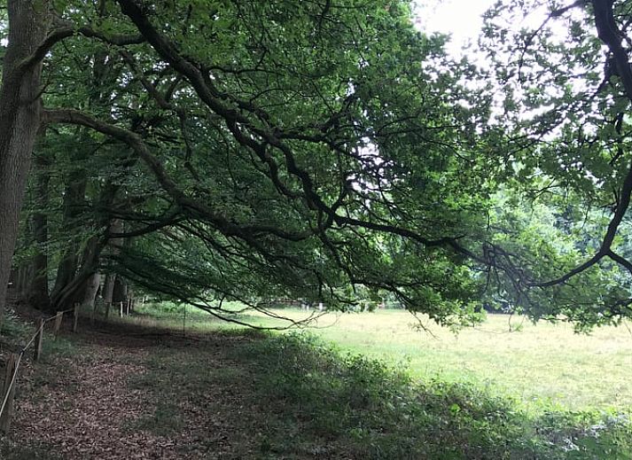 Overdekt terras van Vakantiehuis in Ootmarsum, Nutter, Twente, Overijssel met grote eettafel.
