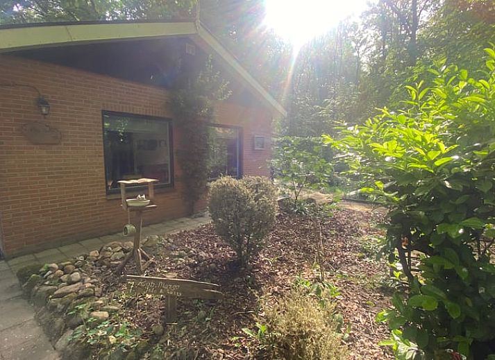 Cottage in Nutter, ein charmantes Ferienhaus im Gruenen in Nutter, Twente, Overijssel.