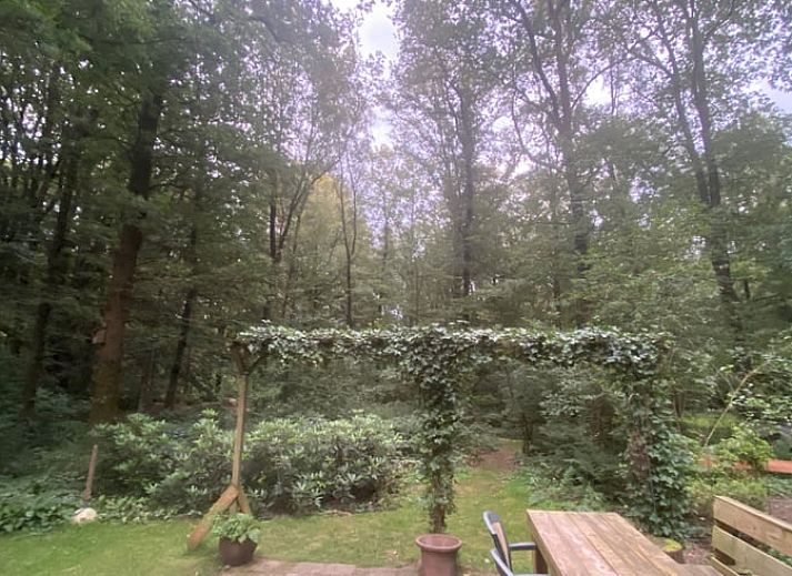 Vorgarten des Huisje in Nutter, Ferienhaus in Nutter, Twente, mit natuerlicher Vegetation.