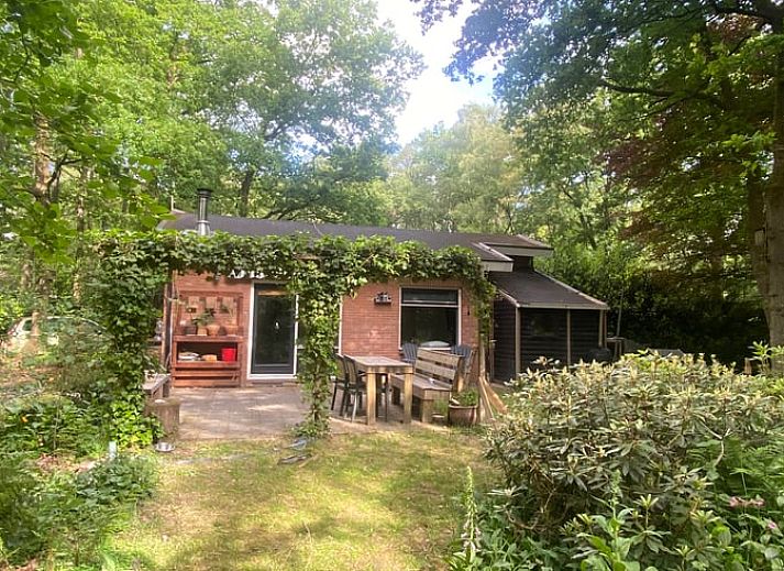 Vorgarten des Huisje in Nutter, Ferienhaus in Nutter, Twente, mit natuerlicher Vegetation.