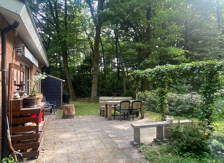 Seitenweg zum Eingang von Huisje in Nutter, Ferienhaus in Nutter, Twente, mit gruener Umgebung.