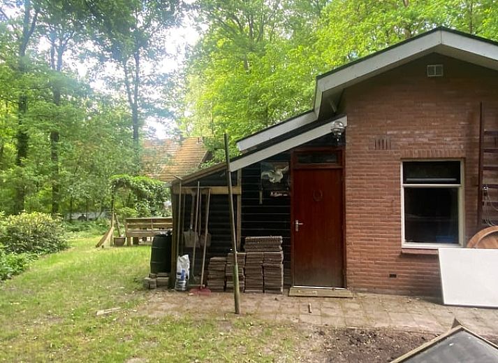 Seitenweg zum Eingang von Huisje in Nutter, Ferienhaus in Nutter, Twente, mit gruener Umgebung.