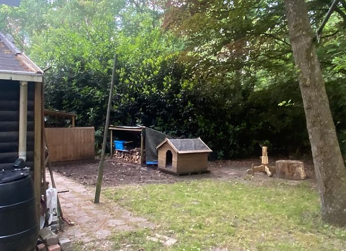 Seitenweg zum Eingang von Huisje in Nutter, Ferienhaus in Nutter, Twente, mit gruener Umgebung.