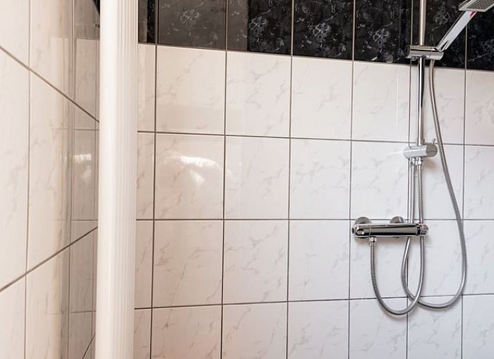 Prachtige weilanden met grazende paarden rondom Vakantiehuis in Nutter, Twente, Overijssel.