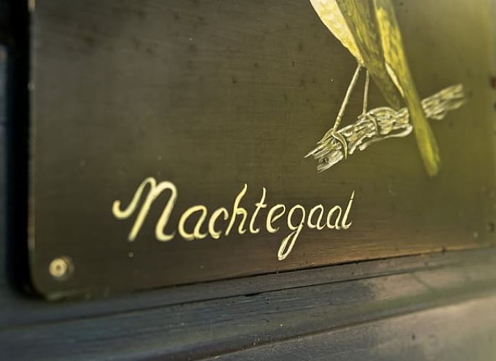 Unterkunft 520221 - Ferienhaus Twente - Vakantiehuisje in Nutter