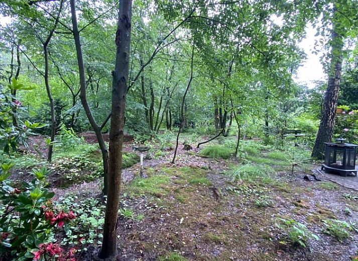 Huisje in Nutter, een knus vakantiehuis in het groene Twente, Overijssel, met een uitnodigend terras omringd door rustgevende natuur.