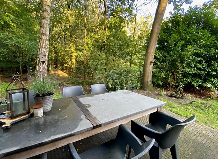 Gezellige werkruimte in Huisje in Nutter, vakantiehuis in Twente, Overijssel, met uitzicht op de groene natuur door grote ramen.