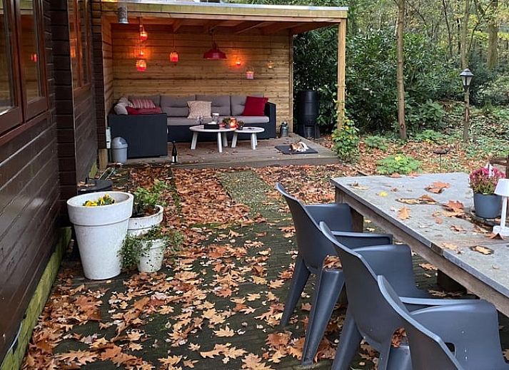 Gezellige woonkamer van Huisje in Nutter, vakantiehuis in Twente, Overijssel, met houten interieur en comfortabel meubilair.