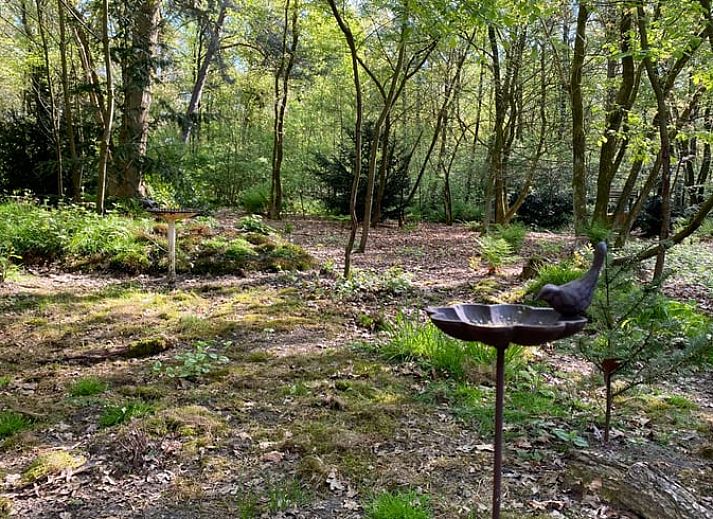 Gezellige keuken in Huisje in Nutter, een vakantiehuis in Twente, Overijssel, met houten interieur en uitzicht op de groene omgeving.