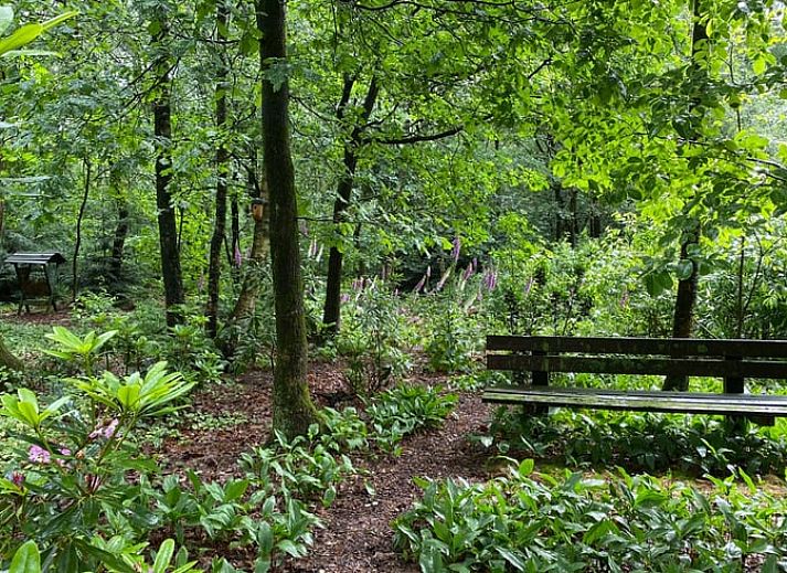 Gezellige keuken in Huisje in Nutter, een vakantiehuis in Twente, Overijssel, met houten interieur en uitzicht op de groene omgeving.