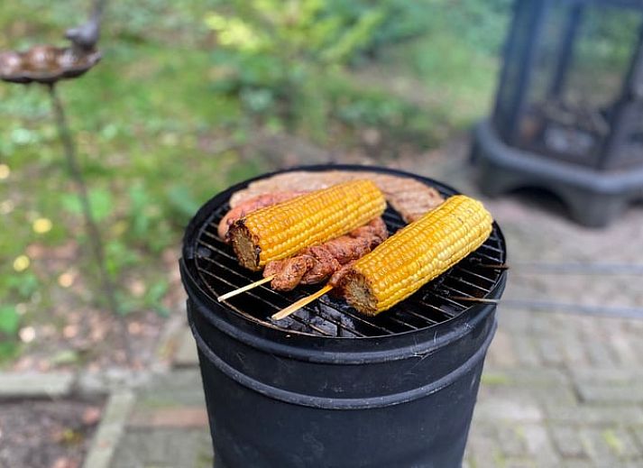 Verblijf 520228 - Vakantiewoning Twente - Huisje in Nutter