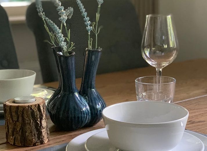 Unterkunft 520235 - Ferienhaus Twente - Vakantiehuis in Nutter