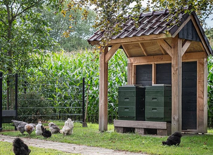 Unterkunft 520235 - Ferienhaus Twente - Vakantiehuis in Nutter