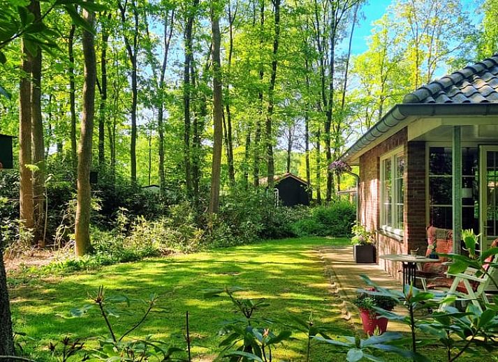 Vakantiehuis in Nutter, charmant vakantiehuis in de bossen van Twente, Overijssel, met groene omgeving.