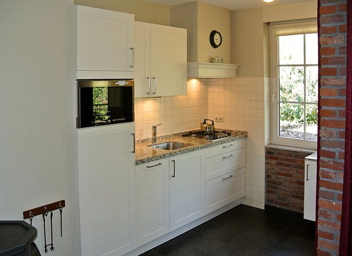 Vakantiehuis in Nutter, serene tuin van vakantiehuis in Twente, Overijssel, omringd door bos.